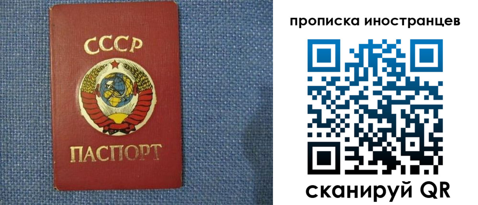 временная регистрация в Александрове